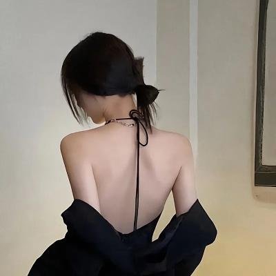 挚爱极地